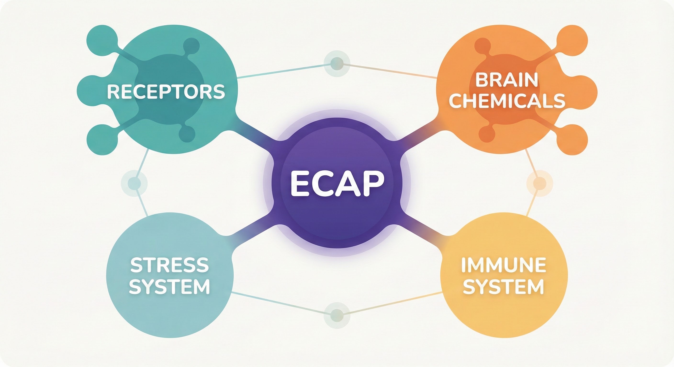 ECAP Network Map
