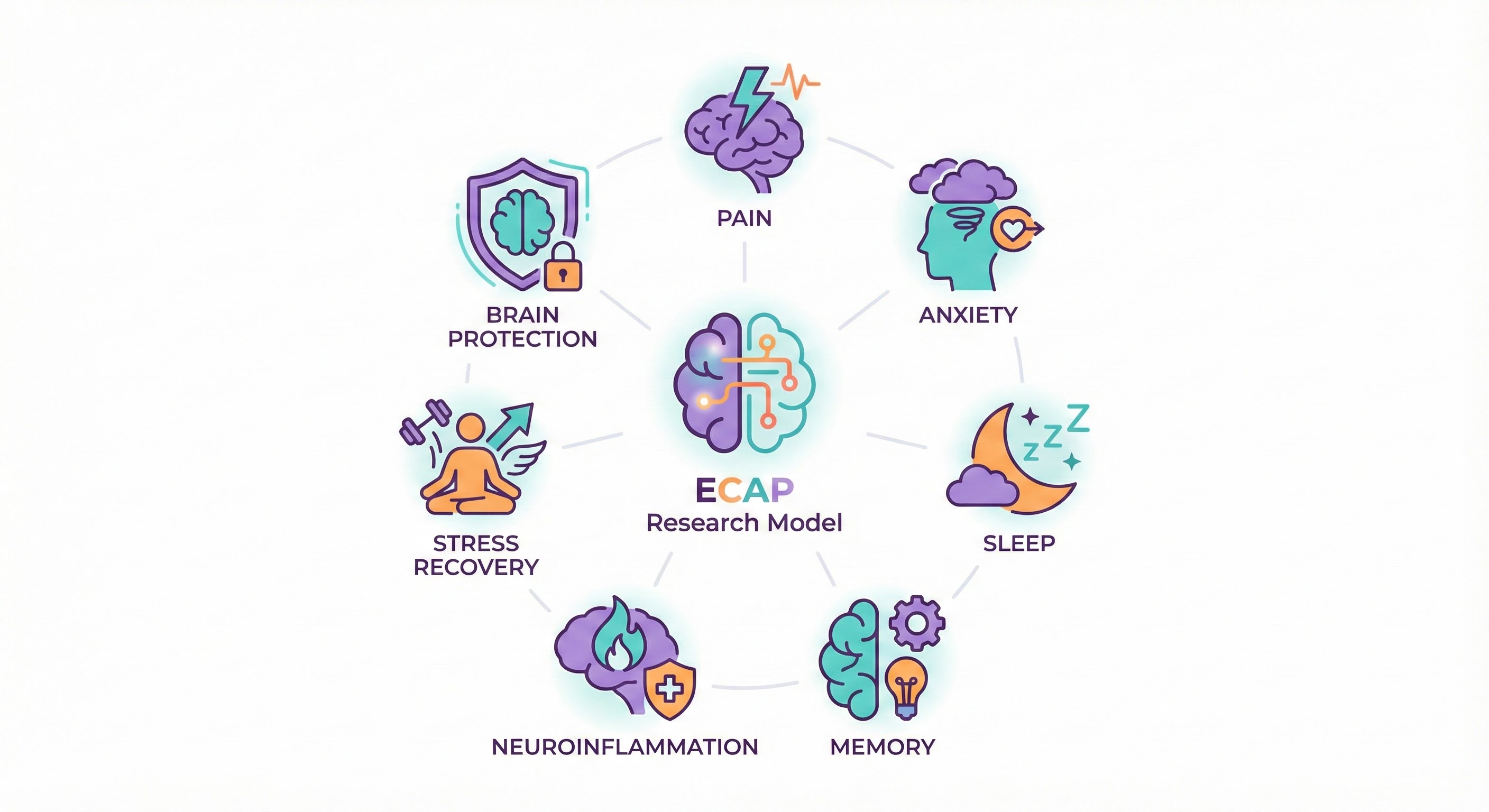 Seven Hypotheses Visual